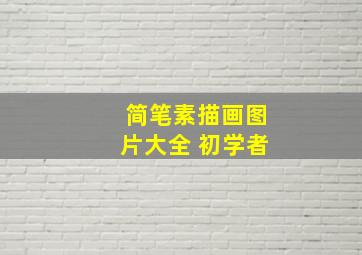 简笔素描画图片大全 初学者